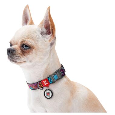 Нашийник для собак нейлоновий WAUDOG Nylon c QR паспортом, малюнок Літо, пластиковий фастекс, Ш 25 мм, Дл 37-58 см (4591) (4823089312750) фото №5