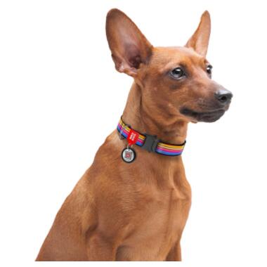Нашийник для собак нейлоновий WAUDOG Nylon c QR паспортом, малюнок Лінія 1, металева пряжка-фастекс, Ш 15 мм, Дл 25-35 см (5152) (4823089321677) фото №4