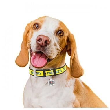 Нашийник для собак шкіряний WAUDOG Design з QR паспортом, малюнок Сміливість, M, Ш 20 мм, Дл 29-38 см, чорний (3604-0231-01) (4823089354132) фото №5