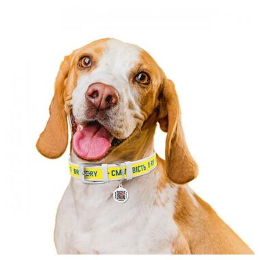 Нашийник для собак шкіряний WAUDOG Design з QR паспортом, малюнок Сміливість, XXS, Ш 12 мм, Дл 18-24 см, білий (3601-0231-15) (4823089354163) фото №5