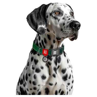 Нашийник для собак нейлоновий WAUDOG Nylon Mono з QR паспортом, світловідбивний, пластиковий фастекс, L, Ш 25 мм, Дов 33-49 см зелений 521518 фото №4