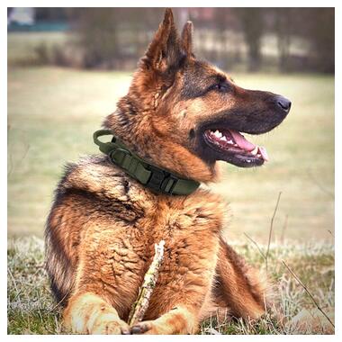 Тактичний нашийник Primo DOG для собак, розмір L (45-55см) - Army Green фото №6