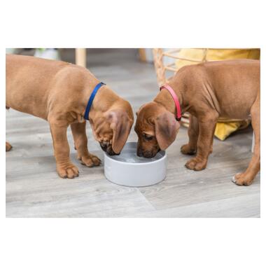 Посуд для собак Trixie Керамічна миска "Junior" 800 мл/16 см (кольори в асортименті) (4011905251271) фото №10
