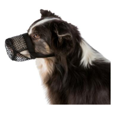 Намордник для собак Trixie для захисту від отрут S-M 22 см/18-40 см (4011905175935) фото №2
