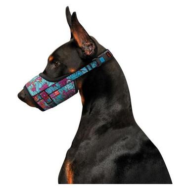 Намордник для собак WAUDOG Nylon, малюнок Літо, пластиковий фастекс, розмір 4, 35-43 см (5373) (4823089325354) фото №3