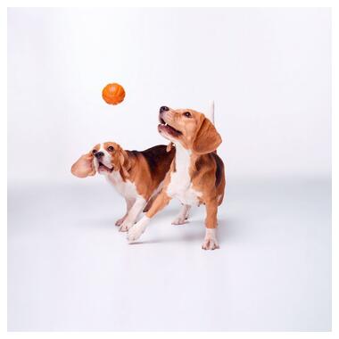Іграшка для собак Liker М'ячик 5 см (6298) (4823089302935) фото №6