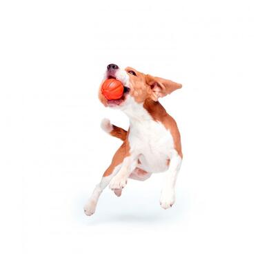 Іграшка для собак Liker М'ячик 5 см (6298) (4823089302935) фото №4