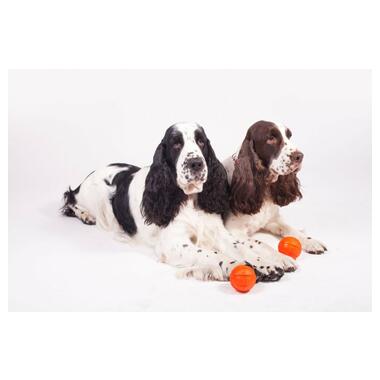 Іграшка для собак Liker М'ячик 5 см (6298) (4823089302935) фото №5