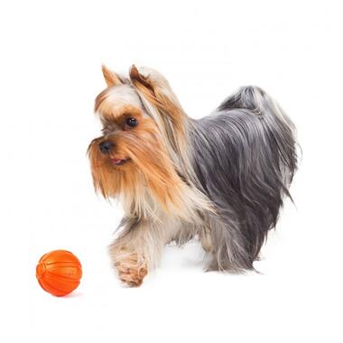 Іграшка для собак Liker М'ячик 5 см (6298) (4823089302935) фото №7