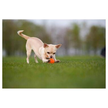 Іграшка для собак Liker М'ячик 7 см (6294) фото №4
