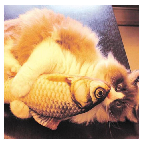 Іграшка риба для кішок CatNip Карась плюшева 3D з котячою м'ятою 30 см фото №4