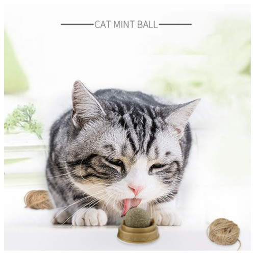 Котяча м'ята іграшка для котів Вкусняшка CatNip фото №4