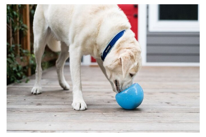 Іграшка для собак Planet Dog Шпигун для ласощів синій (pd68743) фото №3