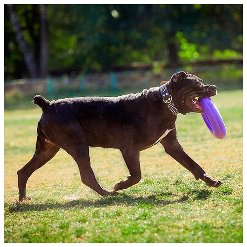 Тренувальний снаряд для собак Puller Мaxi діаметр - 30 см 1 кільце фіолетовий (6492) фото №3