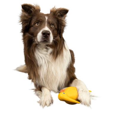 Іграшка для собак Kiwi Walker Птах ківі 8.5 см помаранчева (8596075000110) фото №3