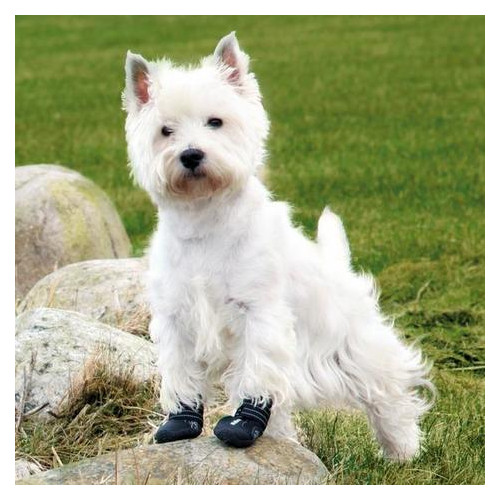Ботинки для собаки Trixie Activ Walker р. М-L черный 2 шт. фото №2