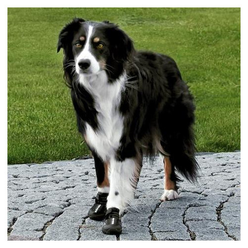 Ботинки для собаки Trixie Activ Walker р. М-L черный 2 шт. фото №3