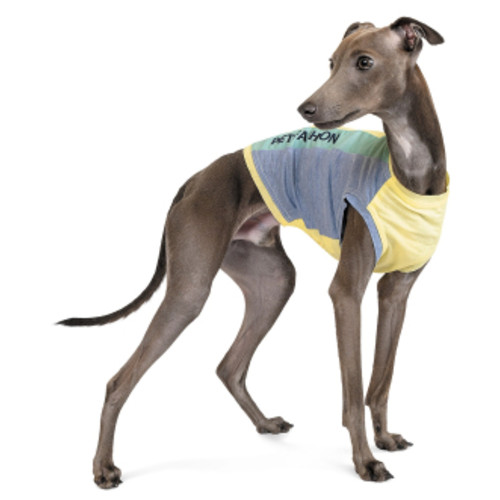 Борцовка для тварин Pet Fashion Sea Sand XS жовта з синім (4823082424740) фото №2