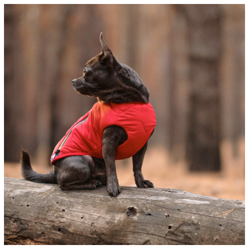 Жилет для тварин Pet Fashion E.Vest L червоний (4823082424498) фото №5