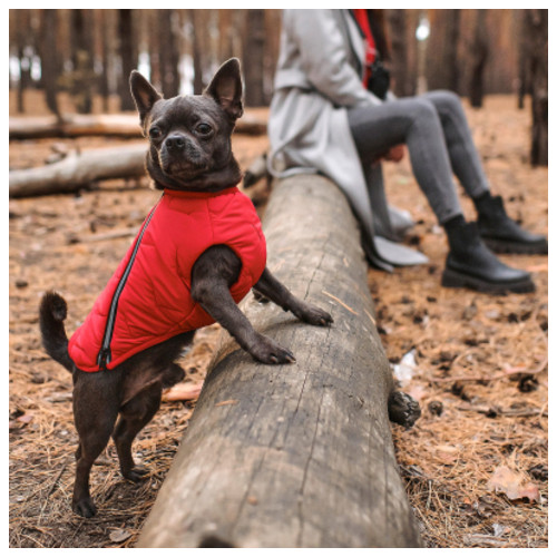 Жилет для тварин Pet Fashion E.Vest L червоний (4823082424498) фото №4