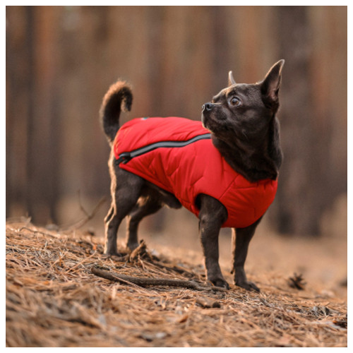 Жилет для тварин Pet Fashion E.Vest L червоний (4823082424498) фото №3