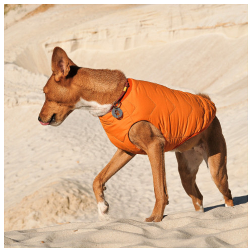 Жилет для тварин Pet Fashion E.Vest L помаранчевий (4823082424337) фото №3