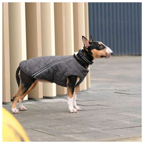 Жилет для тварин Pet Fashion E.Vest M2 сірий (4823082424405) фото №3