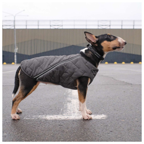 Жилет для тварин Pet Fashion E.Vest M2 сірий (4823082424405) фото №6