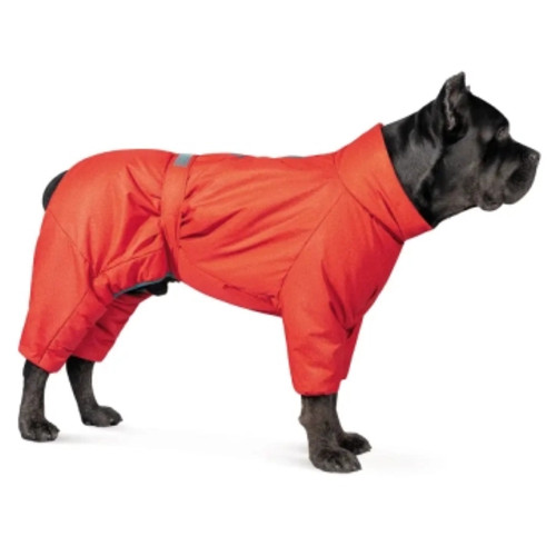 Комбінезон для тварин Pet Fashion «Cold» для такс XS (червоний) (4823082426133) фото №3