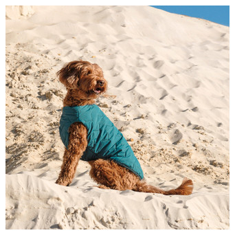 Жилет для тварин Pet Fashion E.Vest морська хвиля M2 (4823082424160) фото №5