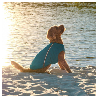 Жилет для тварин Pet Fashion E.Vest морська хвиля M2 (4823082424160) фото №6
