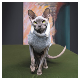 Светр для тварин Pet Fashion CAT S меланж (4823082429738) фото №3