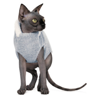 Светр для тварин Pet Fashion CAT S меланж (4823082429738) фото №1