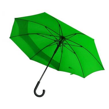 Парасоля Line Art Backsafe Зелена (45250-9) фото №1