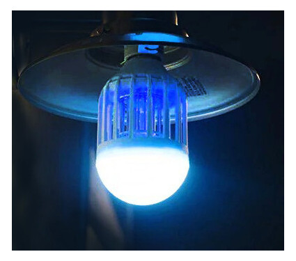 Антимоскітна світлодіодна лампочка Noveen IKN803 LED фото №4