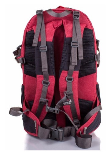 Жіночий рюкзак Onepolar W2190 Red фото №4