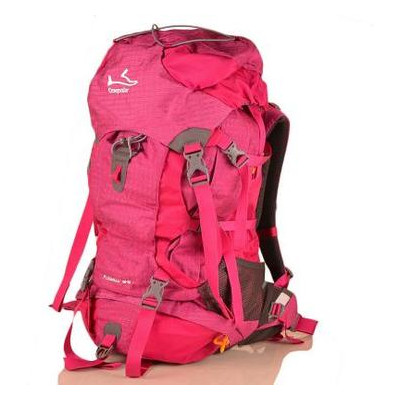 Жіночий рюкзак Onepolar W1632-pink фото №1