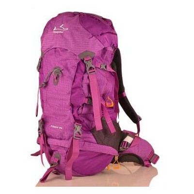 Жіночий рюкзак Onepolar W1632-violet фото №1