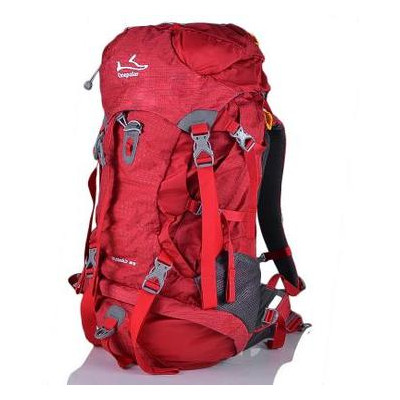 Жіночий рюкзак Onepolar W1632-red фото №1