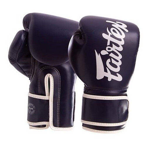 Боксерські рукавички Fairtex BGV14 10oz Синій (37475019) фото №1
