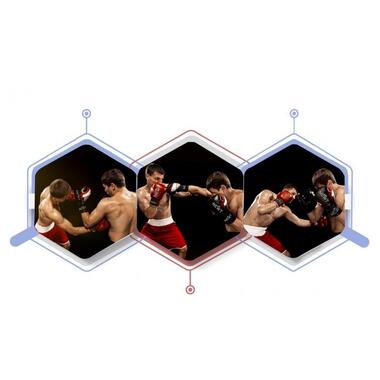 Боксерські рукавиці Newt Fight Gear Team Club сині 10 oz NE-BOX-BF-10-BL фото №6