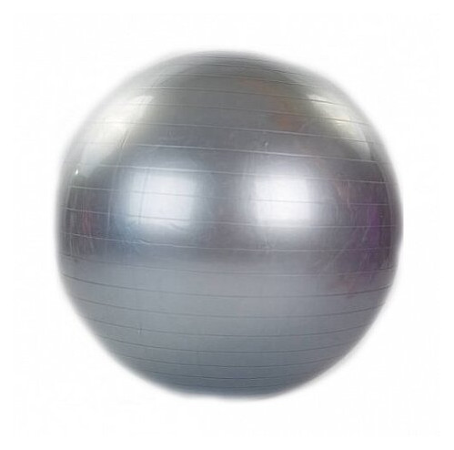 М'яч для фітнесу Zelart FI-1981 75см Сірий (56363063) фото №1