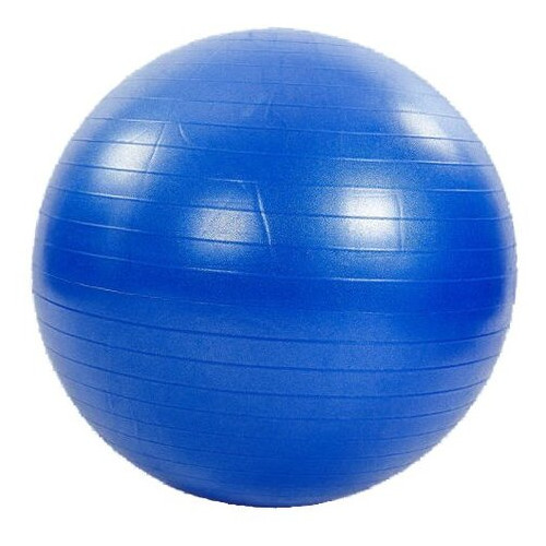 М'яч для фітнесу Zelart FI-1981 75см Синій (56363063) фото №1