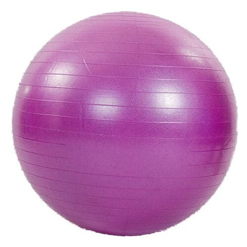 М'яч для фітнесу Zelart FI-1981 75см Фіолетовий (56363063) фото №1