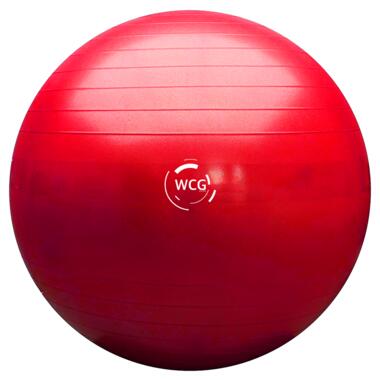 Мяч для фитнеса (фитбол) WCG 75 Anti-Burst 300кг рожевий (W-000-75) фото №1