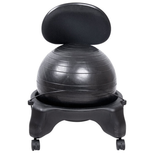 Реабілітаційне крісло з м'ячем inSPORTline G-Chair (10970) фото №3