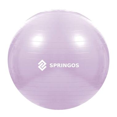 М'яч для фітнесу (фітбол) SportVida 65 см Anti-Burst Violet FB0011 фото №1