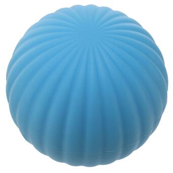 М'яч кінезіологічний FDSO FI-9674 Блакитний (33508351) фото №2