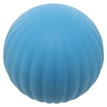 М'яч кінезіологічний FDSO FI-9674 Блакитний (33508351) фото №1