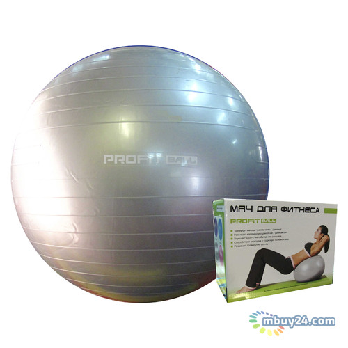 Мяч для фитнеса Profitball M0276-1 65 см Серый фото №1